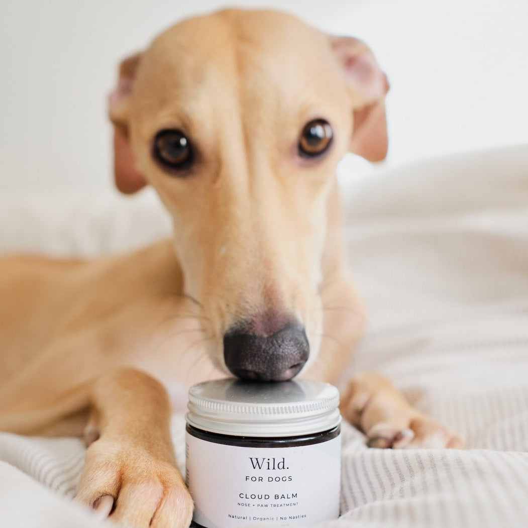 Cloud Balm: Nose, Paw & Skin Treatment