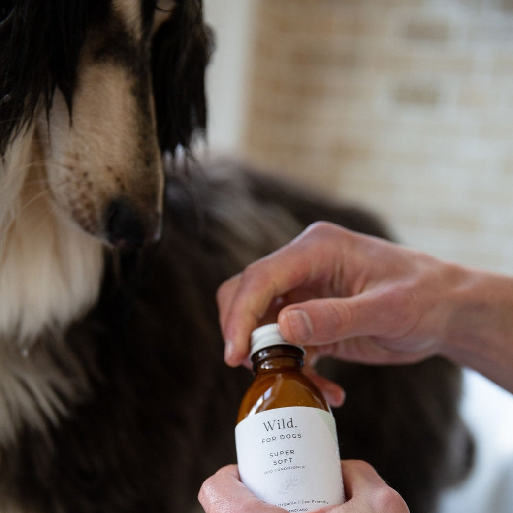 Super Soft: Organic Dog Conditioner