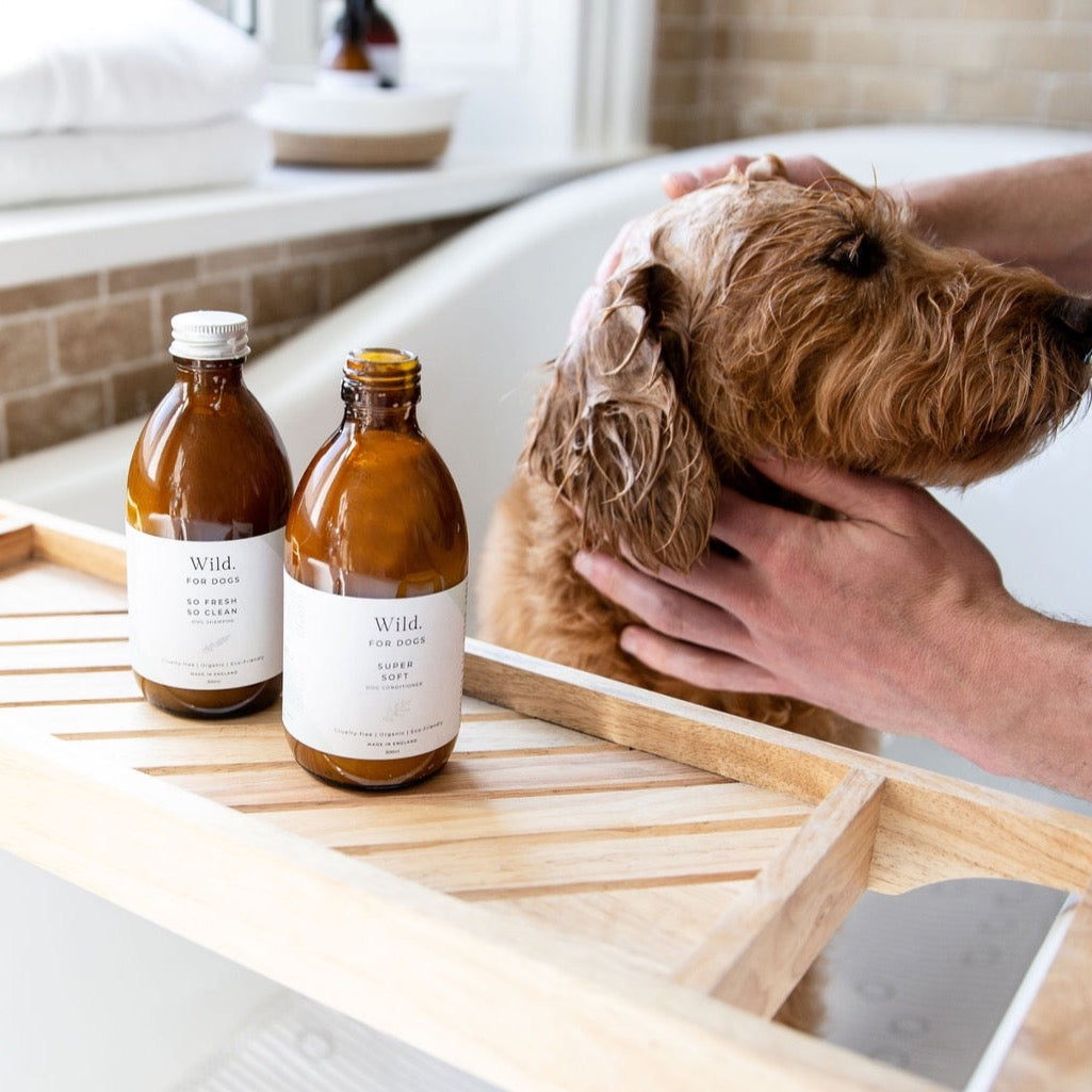 So Fresh So Clean - Organic Dog Shampoo