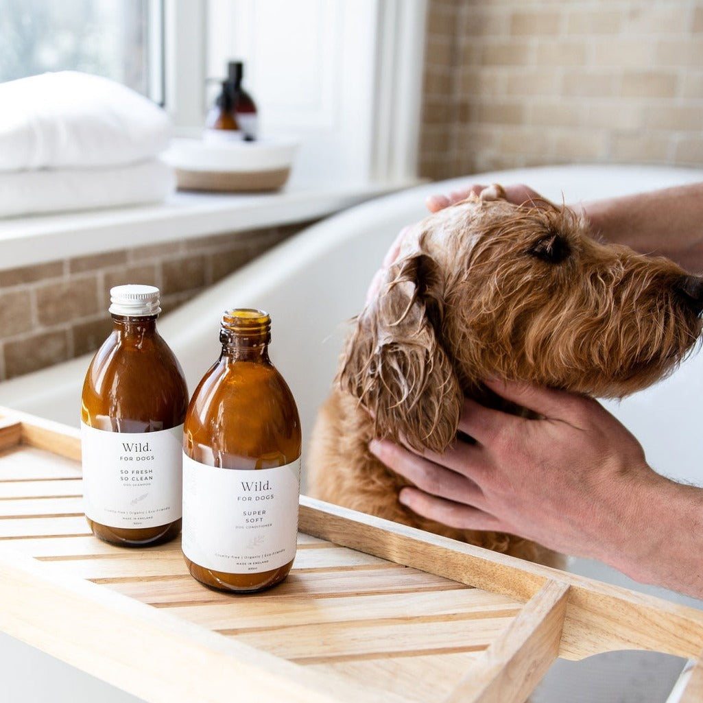 Super Soft: Organic Dog Conditioner