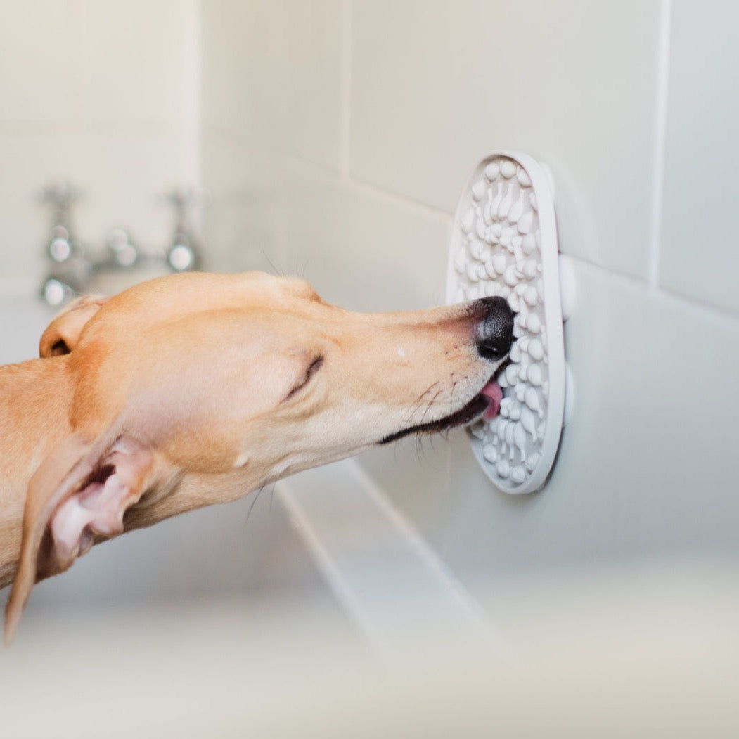 Bathtime Buddy Lick Mat